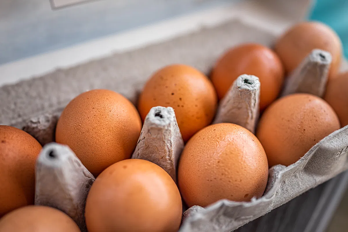 FDA Class I Egg Recall: What Investors Need to Know