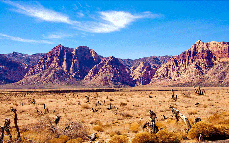 Desert Mountain