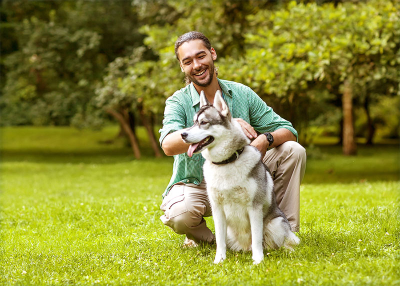 Pet Carer