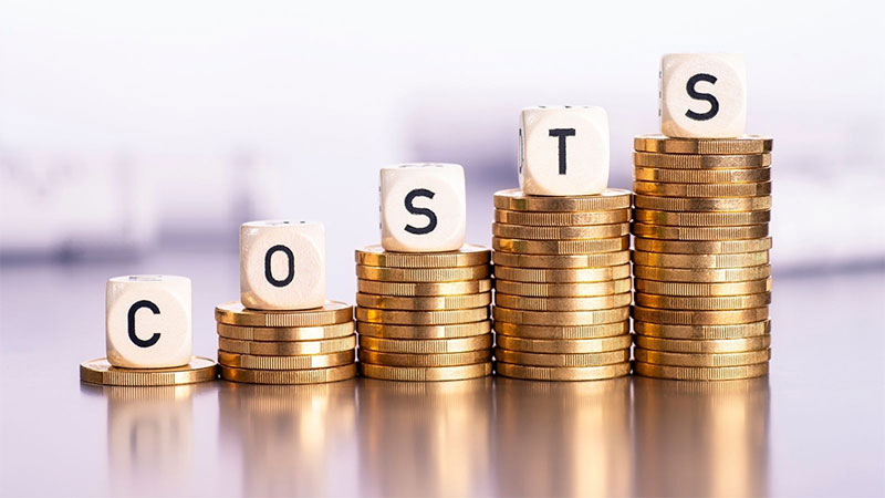 The Costs of Long Term Care