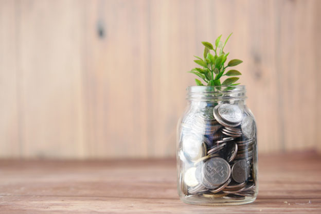 Making Risky Investment Choices