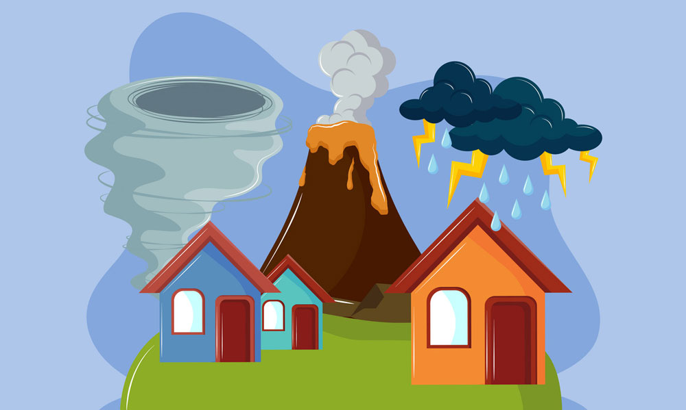 Environmental Assessment