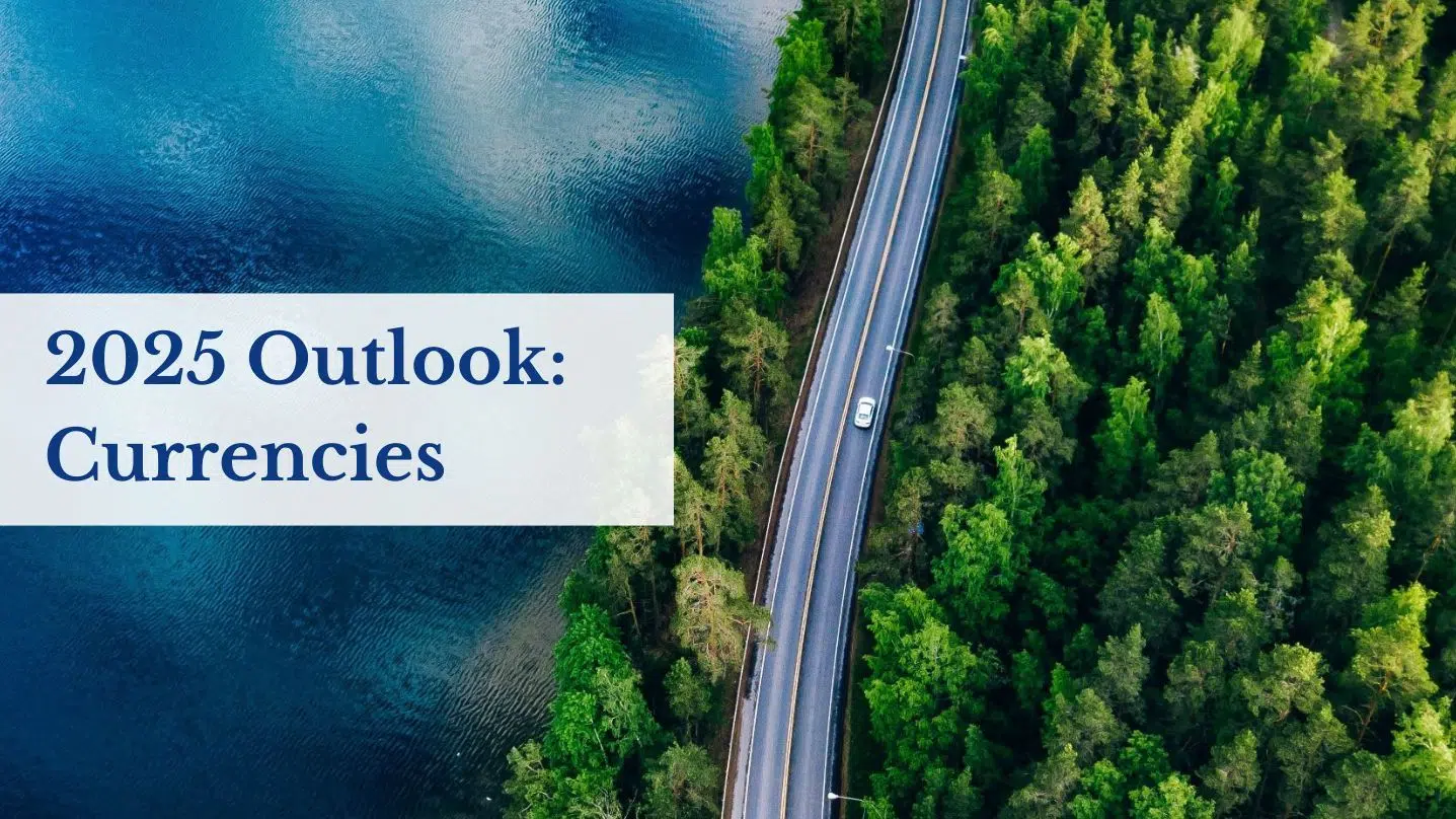 Currency Exchange 2025: Dollar Strength, Euro Surge & Volatility Outlook