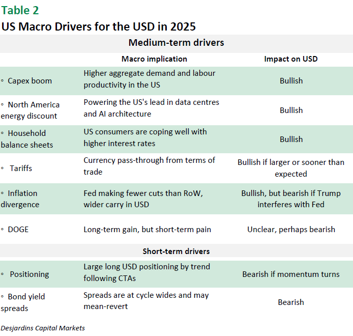 1775141166866_fx analysis january 15 2025 table2