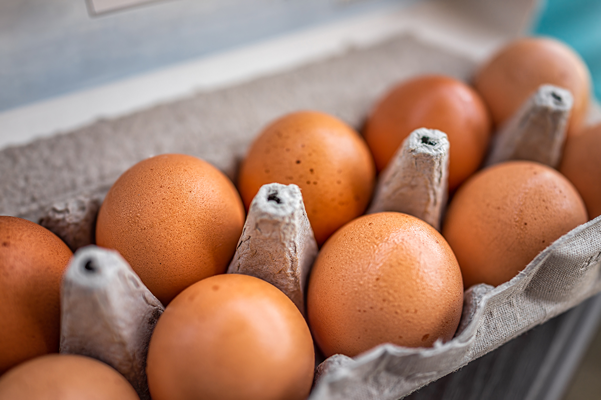FDA Class I Egg Recall: What Investors Need to Know